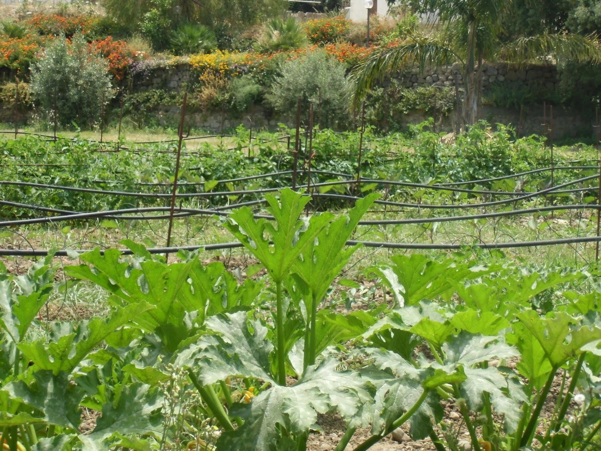 Stella Di Sicilia Villa San Fratello Bagian luar foto
